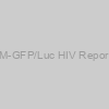 Rev-CEM-GFP/Luc HIV Reporter Cells